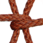TE-PPL Cord